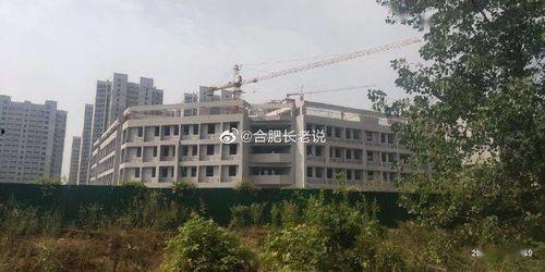 瑞昌中学爆料案件最新,真相大白，校园安全再引关注